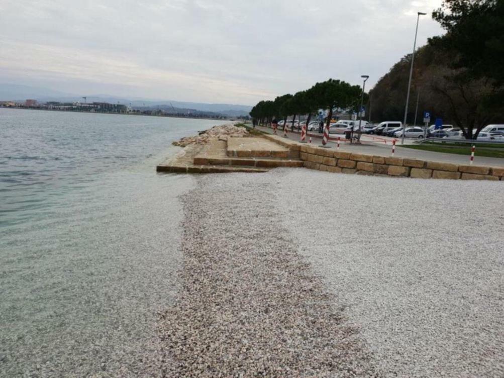 Ferienwohnung Sobe Al Moletto Koper Exterior foto